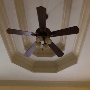 Meet your Posher, Eva